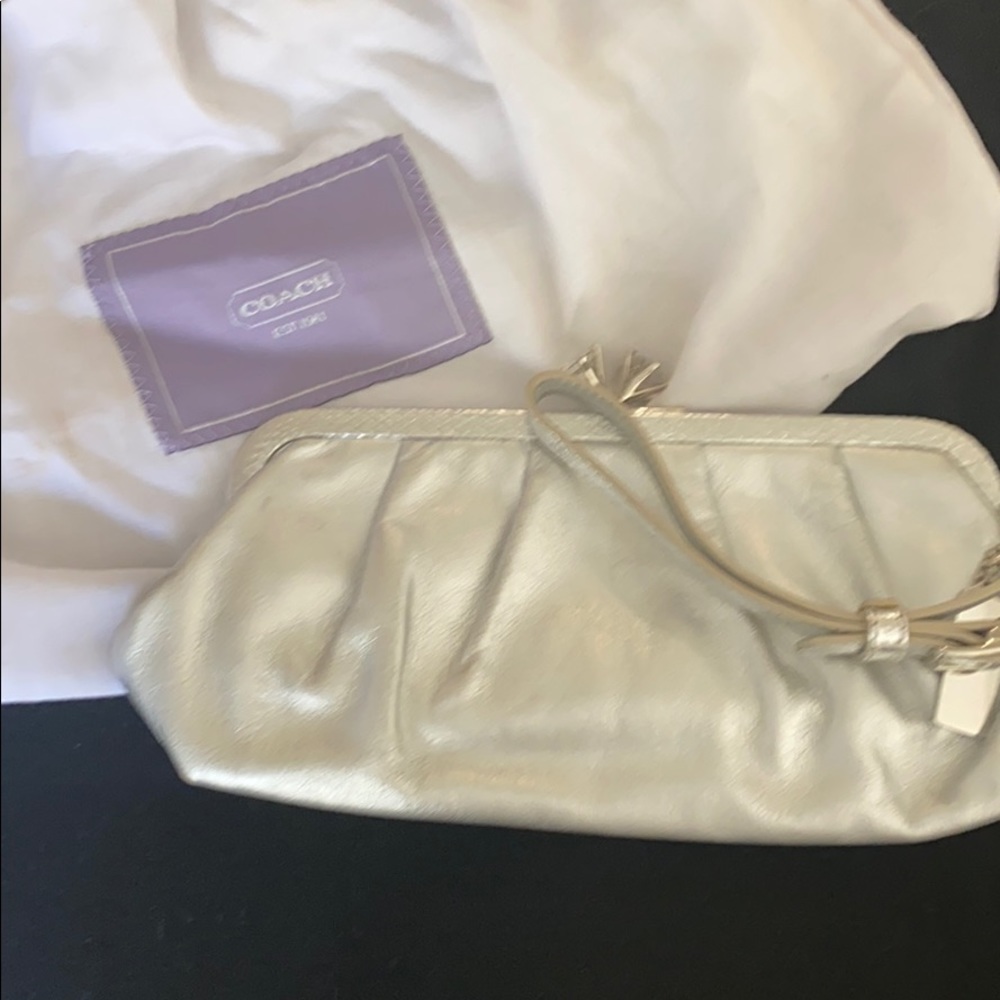 Coach Silver Python Clutch - image 7